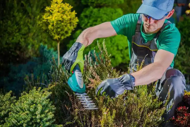 landscaping services Roxie